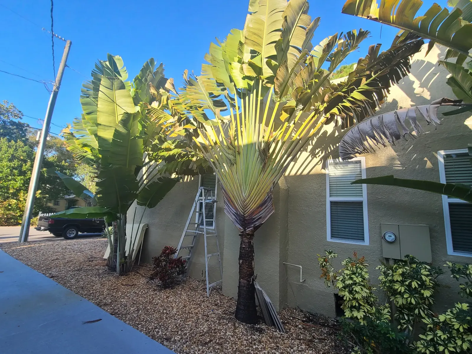 Neutral home repaint - real Volusia County painting project