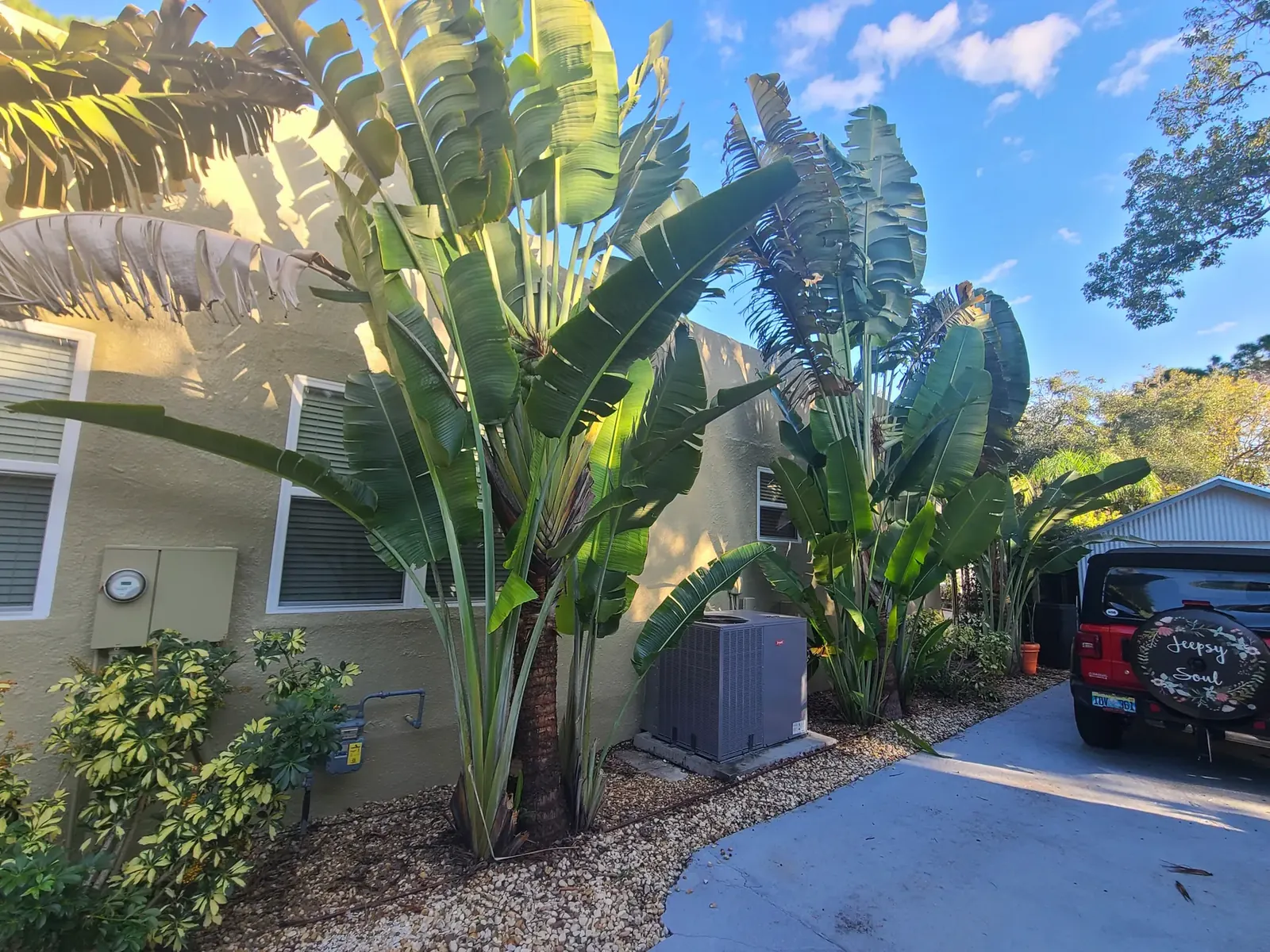 Neutral home repaint - real Volusia County painting project