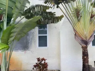 New Smyrna Beach exterior detail - real Volusia County painting project