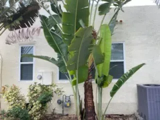 New Smyrna Beach exterior detail - real Volusia County painting project